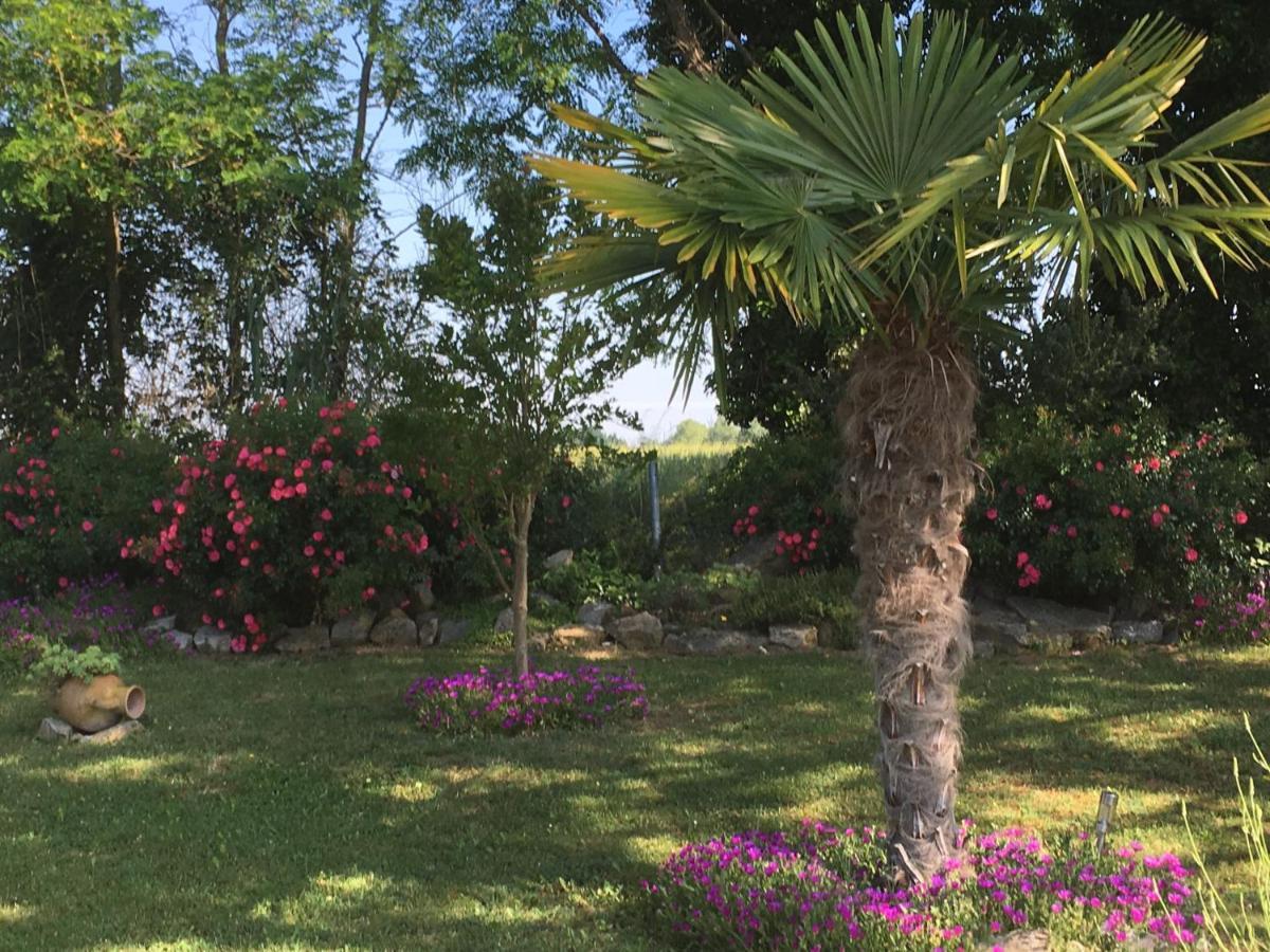 Appartement mansardé et climatisé 50 m2 Pompignan  Esterno foto