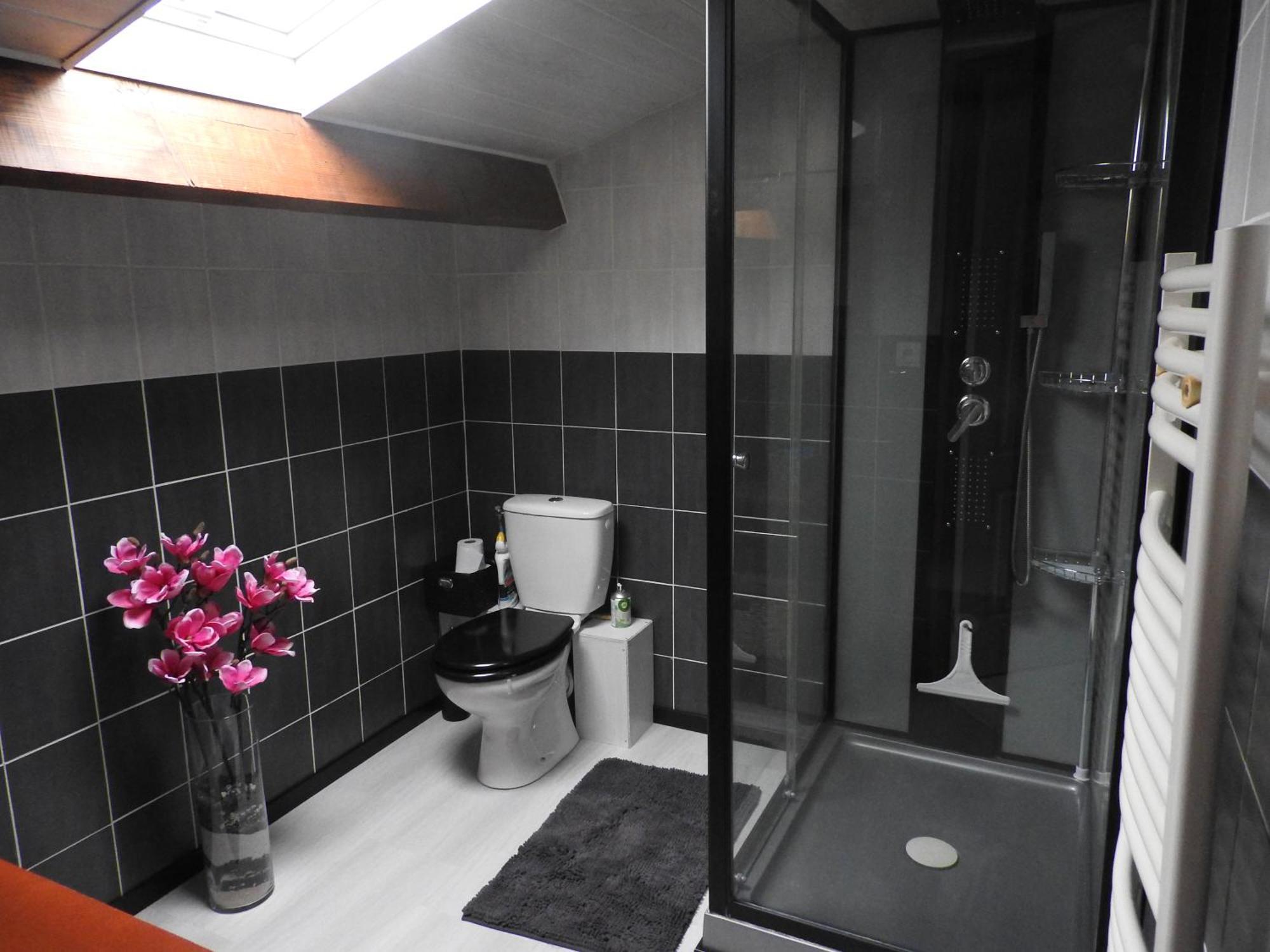 Appartement mansardé et climatisé 50 m2 Pompignan  Esterno foto